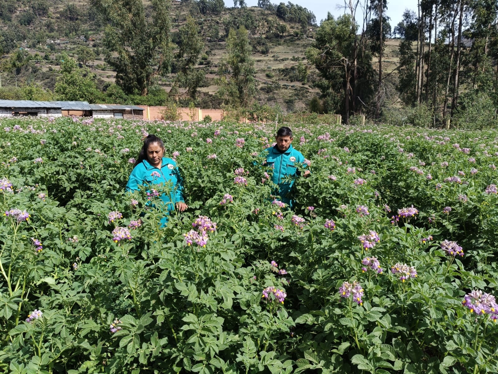 571816029_122148715868844676_2198281116474045066_n