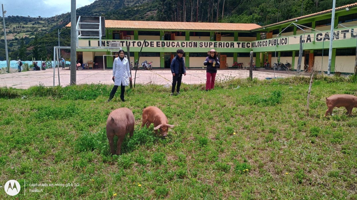 469044082_1075910081212543_8220840252640213729_n